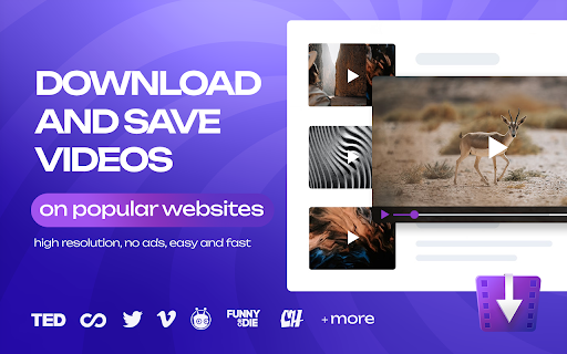 Video Downloader Extension