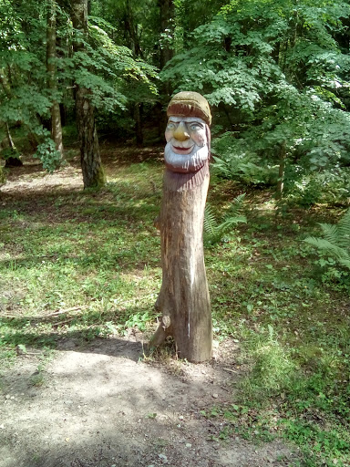 Gnome