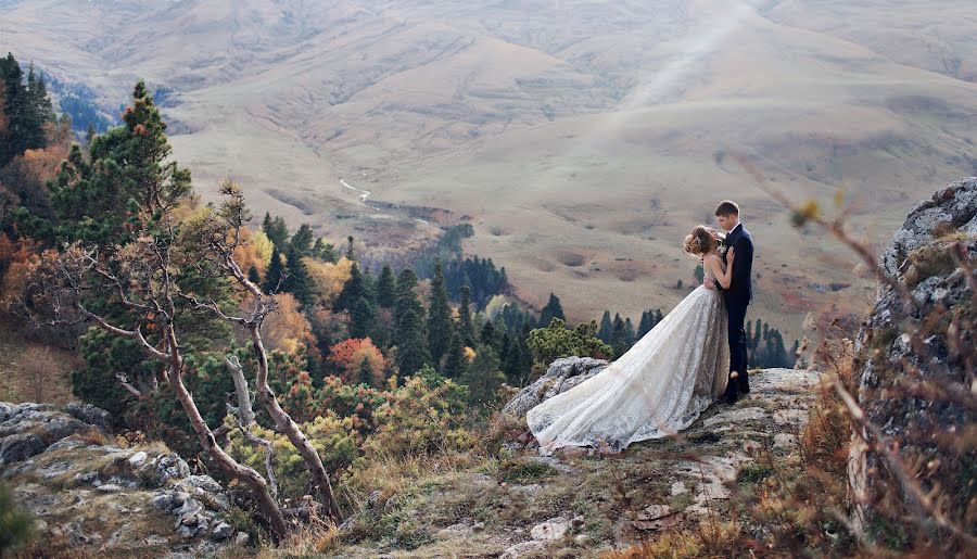 Wedding photographer Elena Bolshakova (fotodivaelena). Photo of 20 February 2018