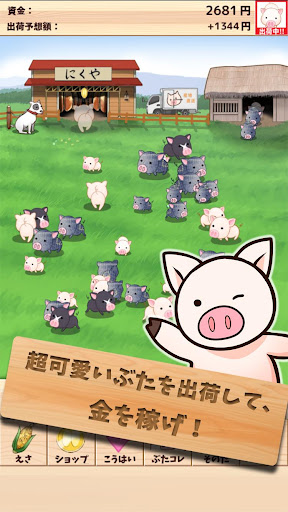 出荷ぶた shipping pigs