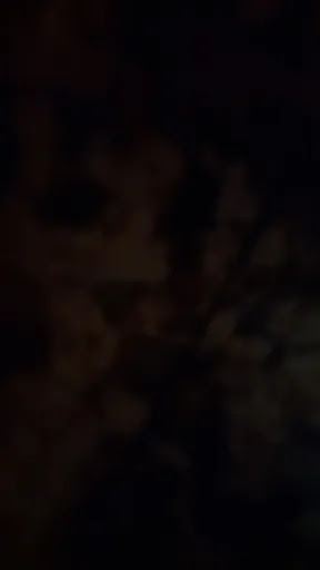 image - 0