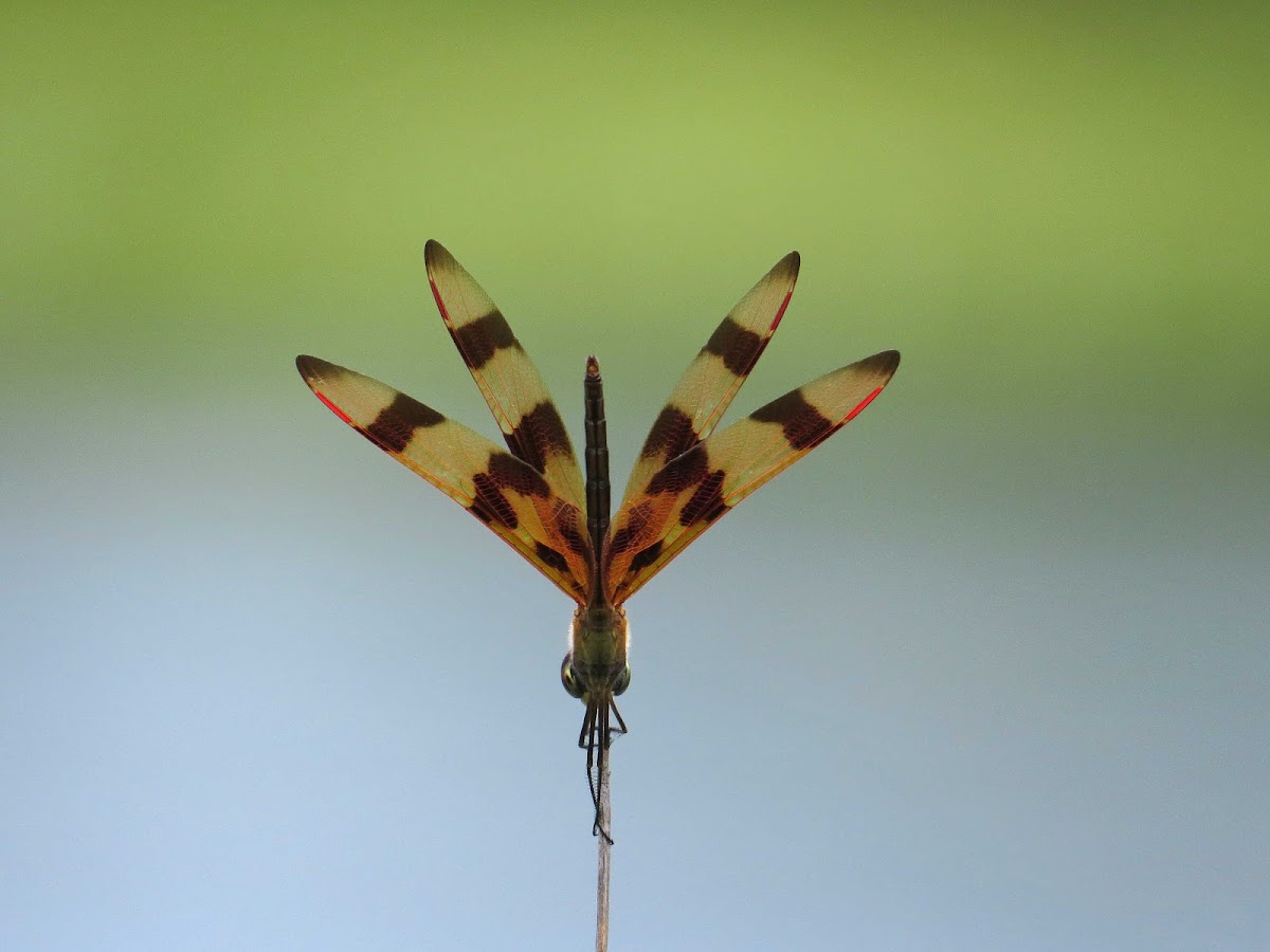 Halloween Pennant