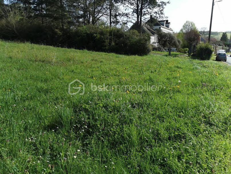 Vente terrain  1065 m² à Villeneuve-sur-Yonne (89500), 31 000 €