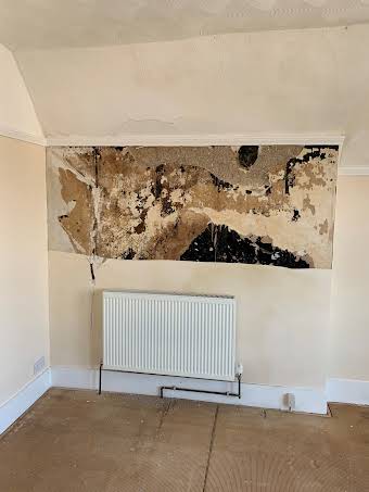 Amended plaster after damage from from leak.  album cover