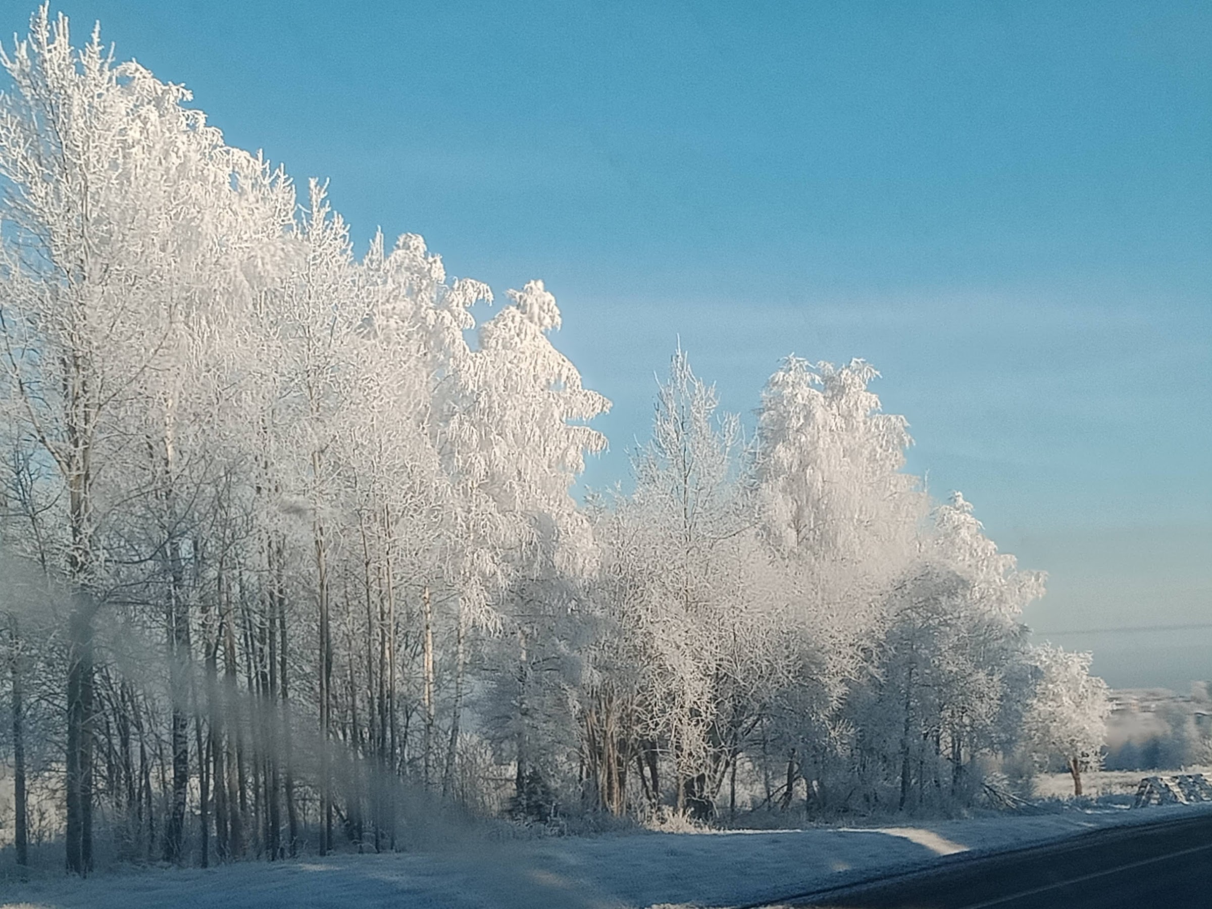 Кострома и Союз городов Золотого кольца