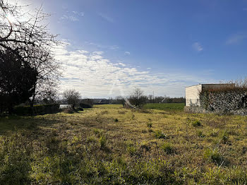 terrain à Mazé-Milon (49)