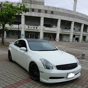 スカイラインクーペ CPV35