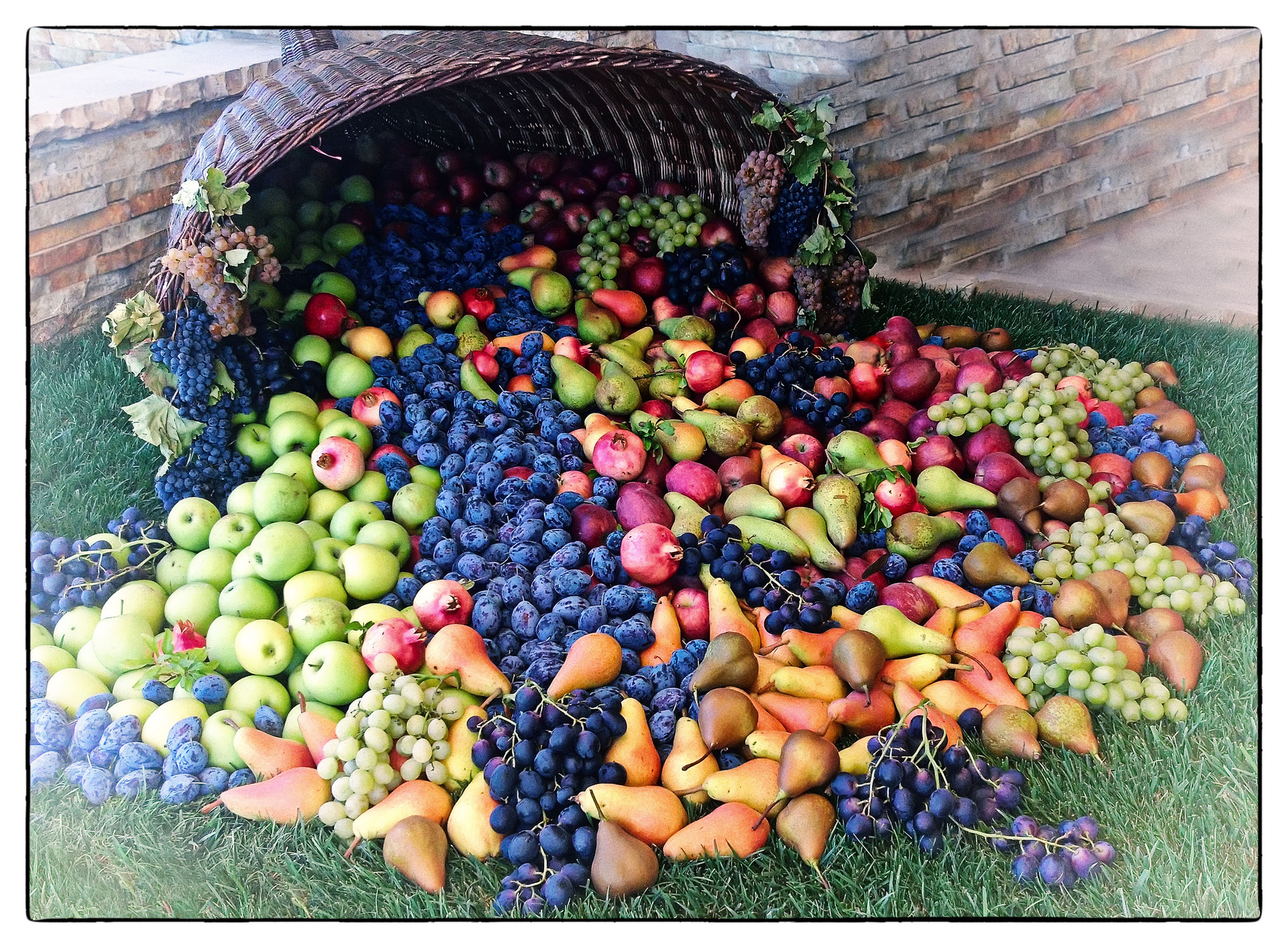 Cornucopia di frutta di Patrix