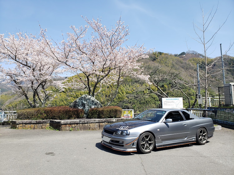 スカイラインの4本交換・タイヤ・ドライブ・暖かい・桜と愛車に関するカスタム事例の投稿画像3枚目