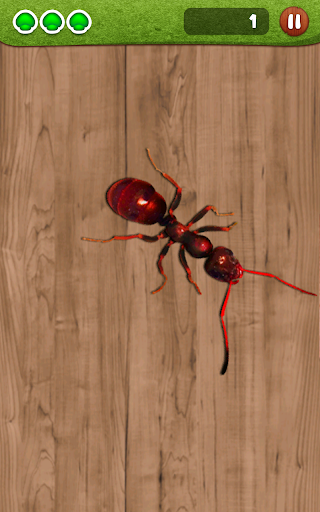 Ant Smasher, Best Free Game (Unlocked)