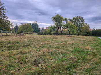 terrain à Burnhaupt-le-Bas (68)