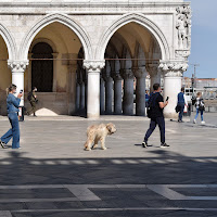 loro tengono le giuste distanze di 