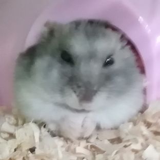 ひろ