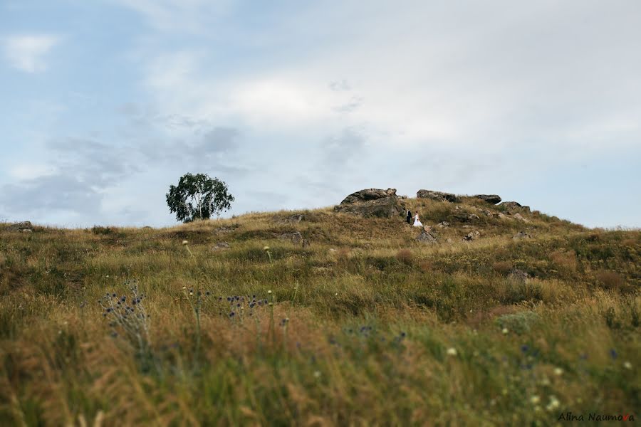 Kāzu fotogrāfs Alina Naumova (alischa). Fotogrāfija: 8. augusts 2016