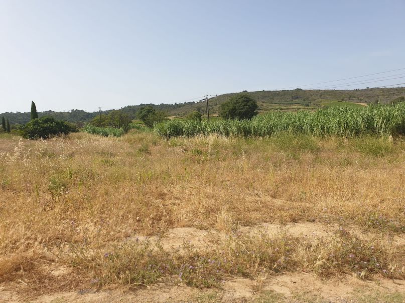 Vente terrain  7672 m² à Montouliers (34310), 20 000 €