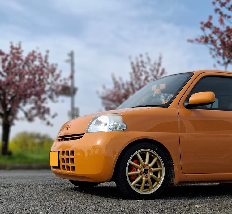 ヴィッツの八重桜と愛車・バッタリ〜は突然に・ドライブに関するカスタム事例の投稿画像10枚目