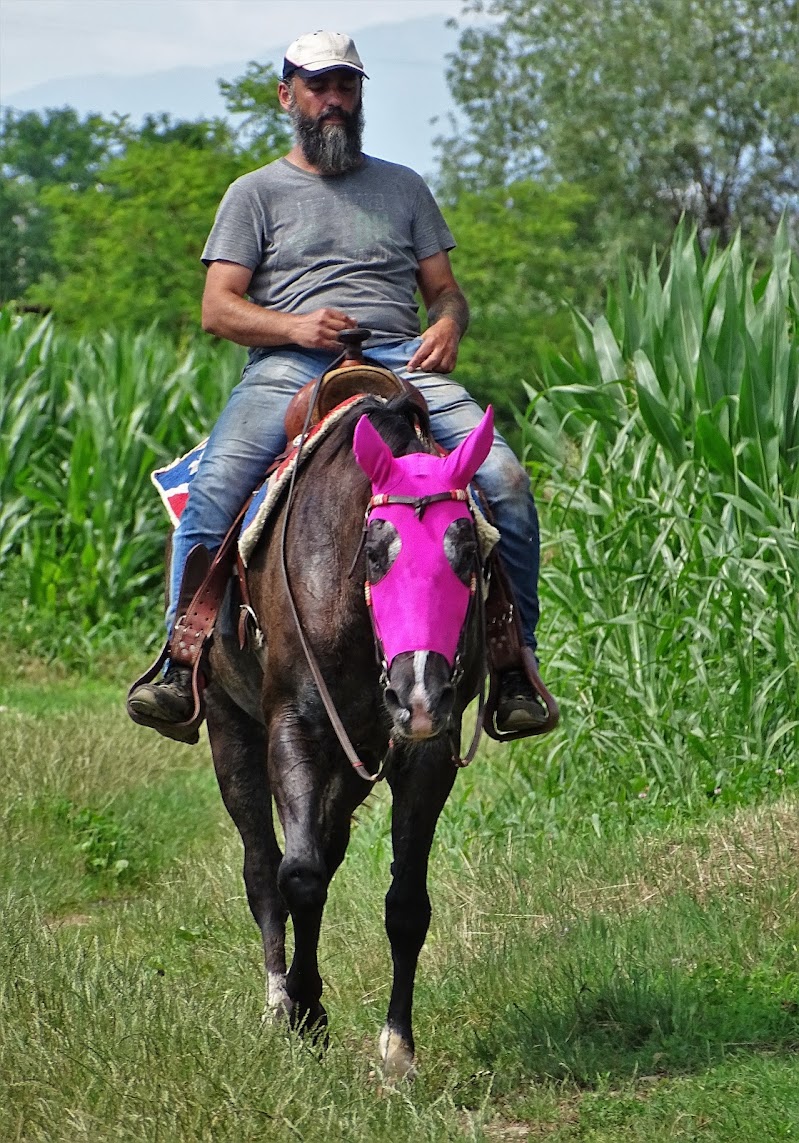 Passeggiata a cavallo di dan