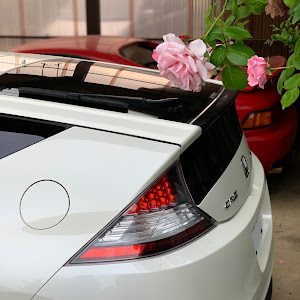 CR-Z ZF1