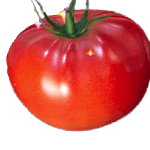 トマトアイコン