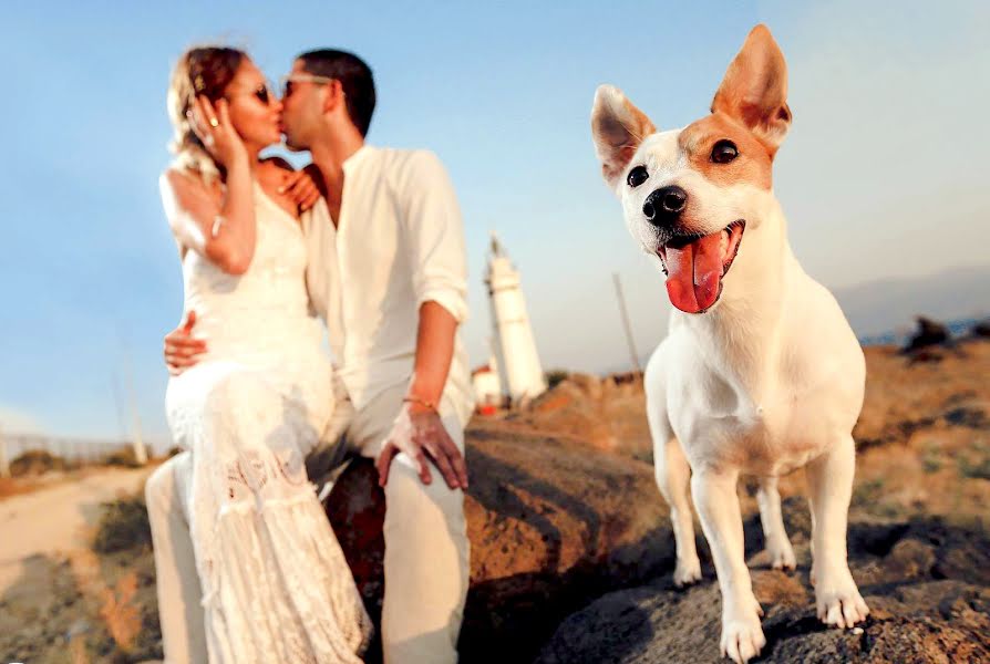 Photographe de mariage Ahmet Gül (ahmetgul). Photo du 30 juillet 2020