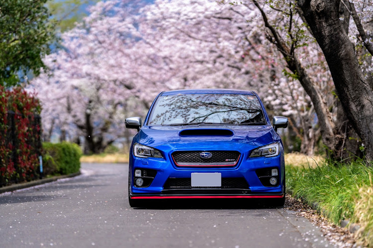 WRX STIの花菜ガーデン・チューリップフェア・桜並木の下で・キーパーラボ  純水手洗い洗車に関するカスタム事例の投稿画像1枚目
