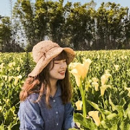 艾米達精靈谷茶樹莊園