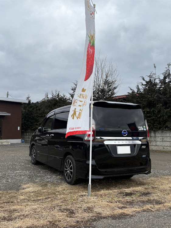 セレナの日産の日・バックシャンな愛車・V37・雪もう嫌だ😩・走りに行きたい……に関するカスタム事例の投稿画像1枚目