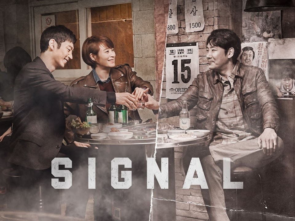 signal tvn