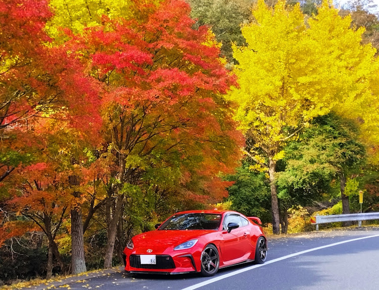 GR86のメタセコイア並木の紅葉・12月もよろしくお願いします・岡山・忘年会楽しかったに関するカスタム事例の投稿画像3枚目