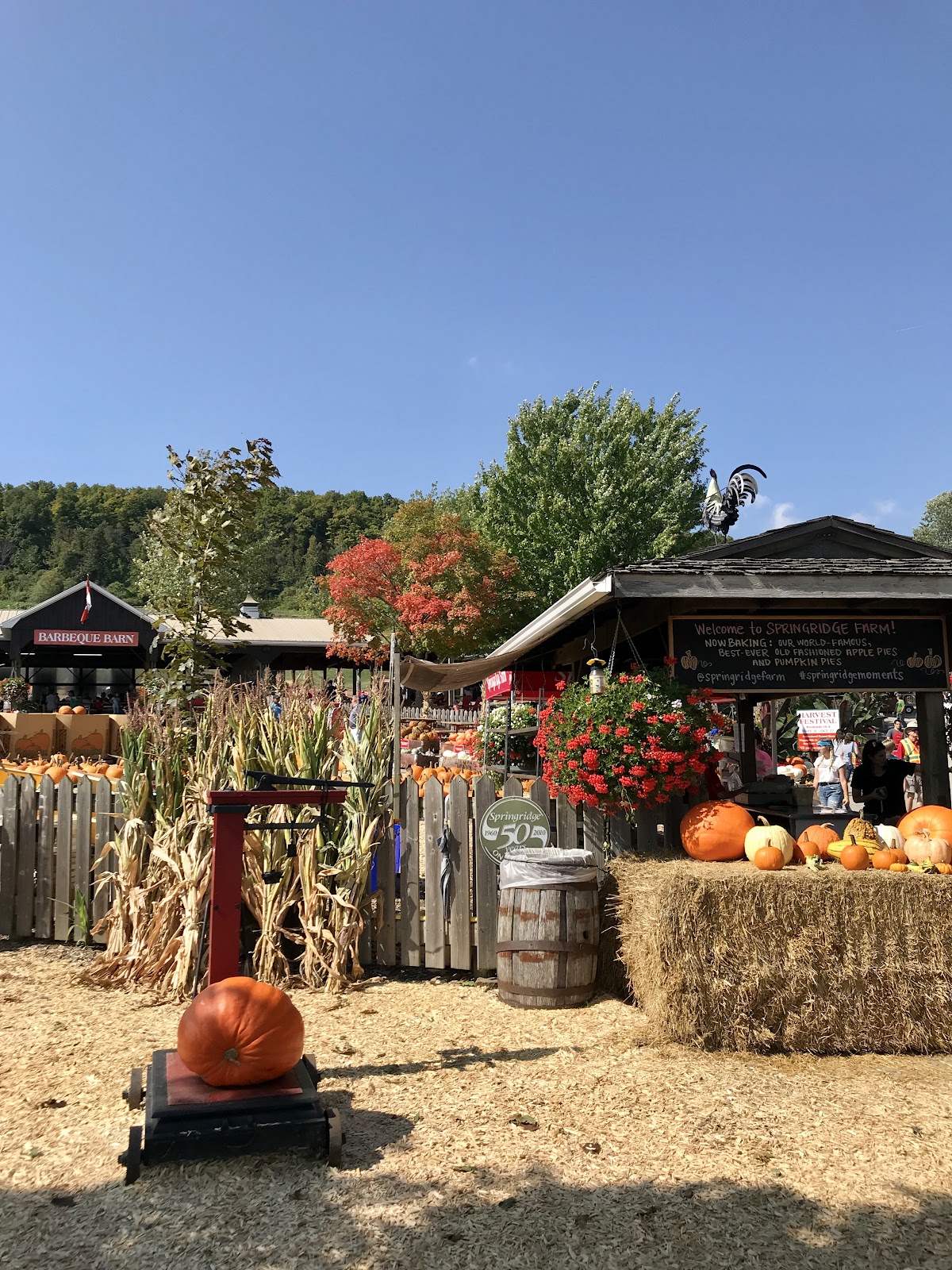 farms in southern ontario