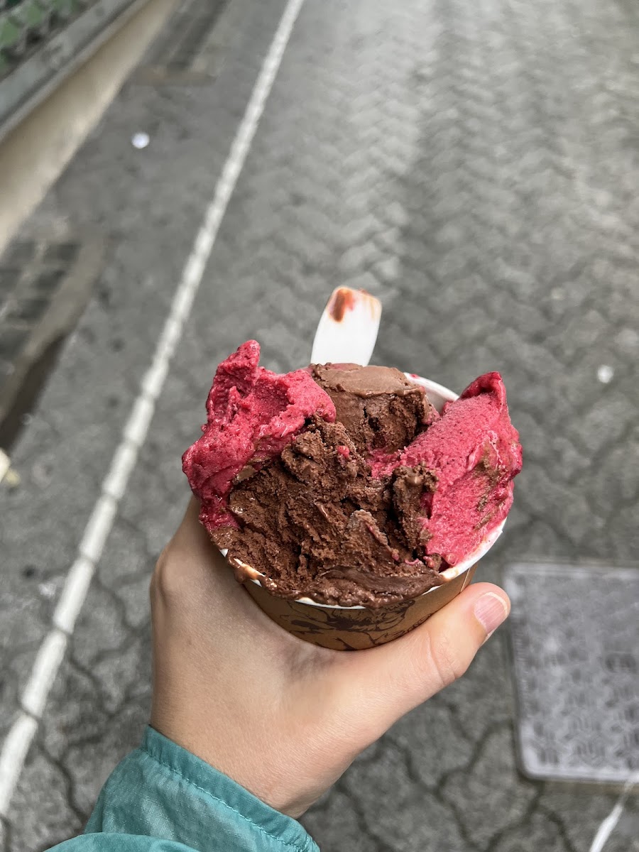 Triple berry and chocolate sorbet. All dairy free and vegan