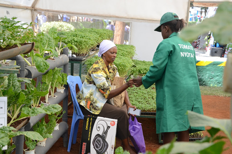 Hope Kimani from Kenya Seeds Company gives a farmer some vegatable seeds