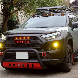 RAV4 AXAH54