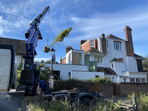 The crane came in handy on this job, planting a large tree in the rear garden with limited access. This was the efficient way of doing it.