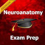 Neuroanatomy Test Prep Pro