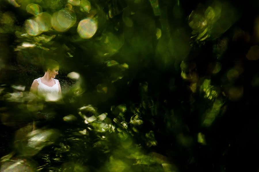 Fotógrafo de casamento Steven Herrschaft (stevenherrschaft). Foto de 26 de fevereiro 2020