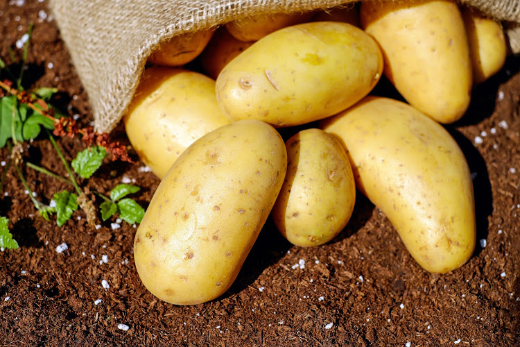 DEEP LOSSES: A potato farmer in the Langkloof says he is losing up to 50% of his usual revenue during the coronavirus lockdown