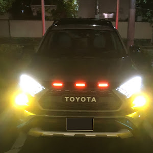 RAV4 MXAA54