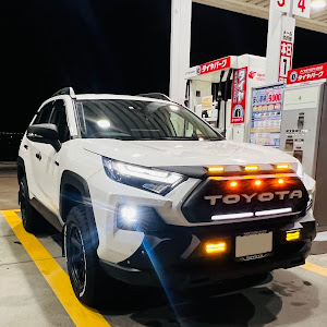 RAV4 AXAH54