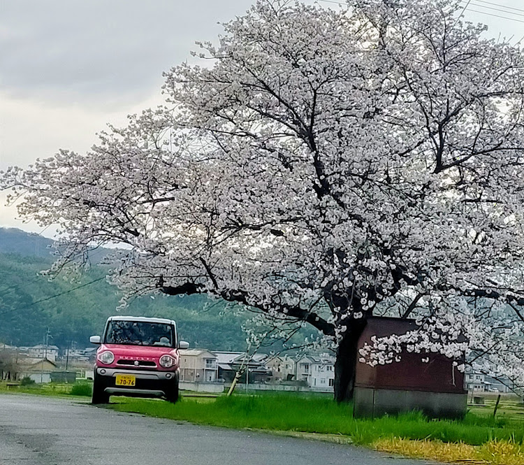 それいけプラ活シュナ丸ちゃん🐶さんが投稿した謝謝会・プラモデルコレクター・祭日、土日はCTお休みしてます・プラ活・立っションに関するカスタム事例の投稿画像1枚目