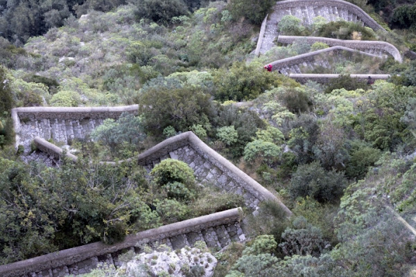 Scala fenicia di pedro89