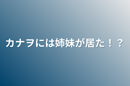 カナヲには姉妹が居た！？