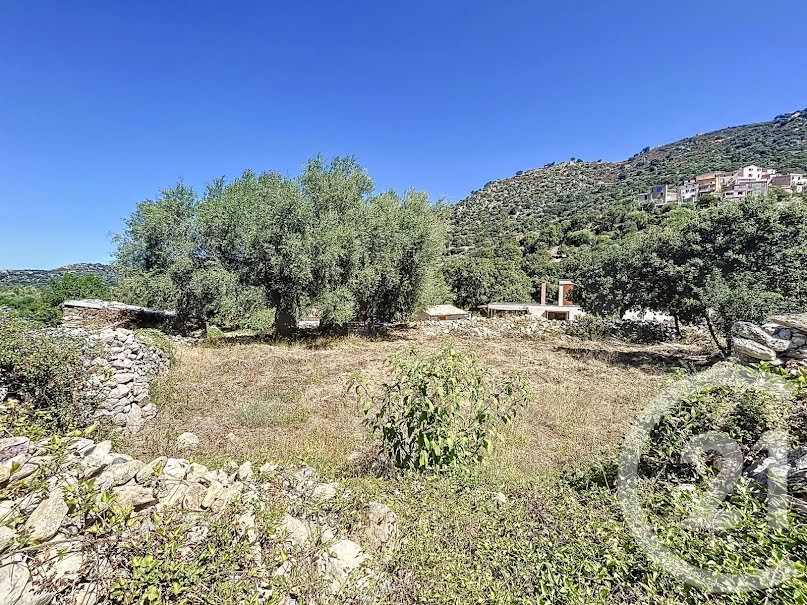 Vente terrain à batir  824 m² à Zilia (20214), 172 000 €