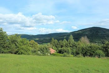 terrain à Cleurie (88)