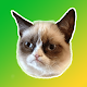 Download Grumpy Cat Stickers for Whatsapp For PC Windows and Mac 1.0