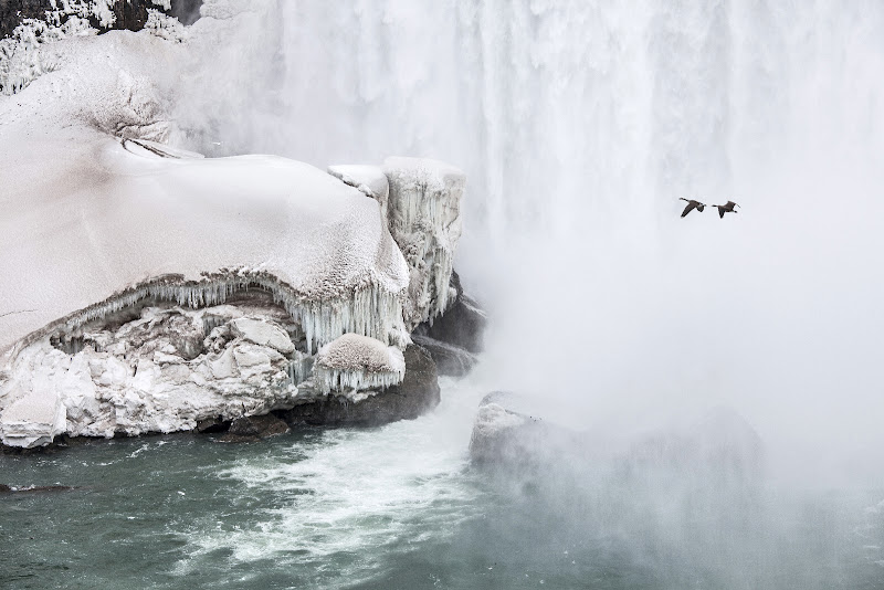 niagara ice goose di ©