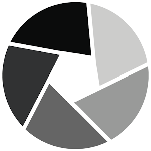 VIRTUAL RINGELMANN logo
