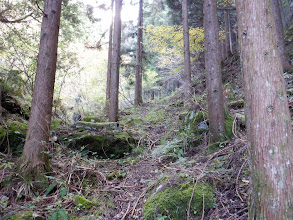 沢沿いの踏み跡を追う