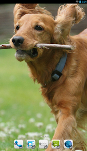 English Cocker Spaniel Theme Screenshots 4