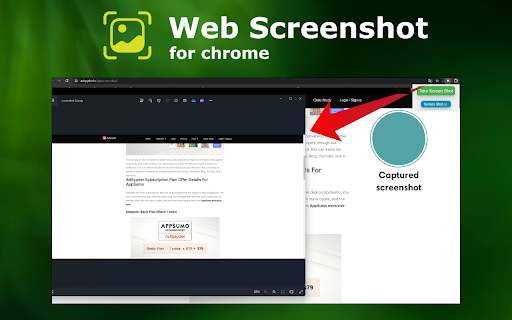 Web screenshot for chrome